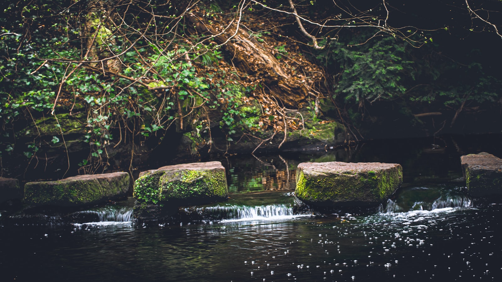 Stepping stones across a stream