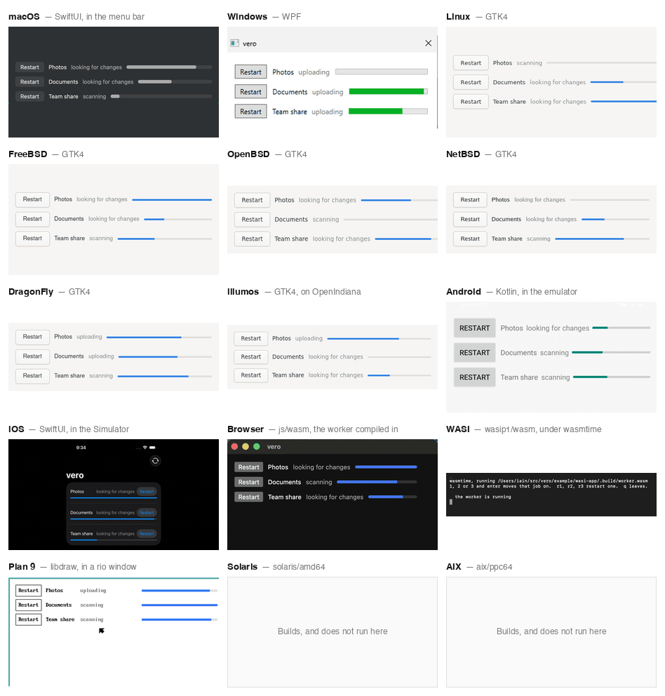 vero on all 15 platforms Go builds for